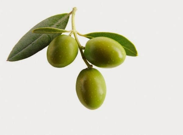 propiedades aceite de oliva extra virgen