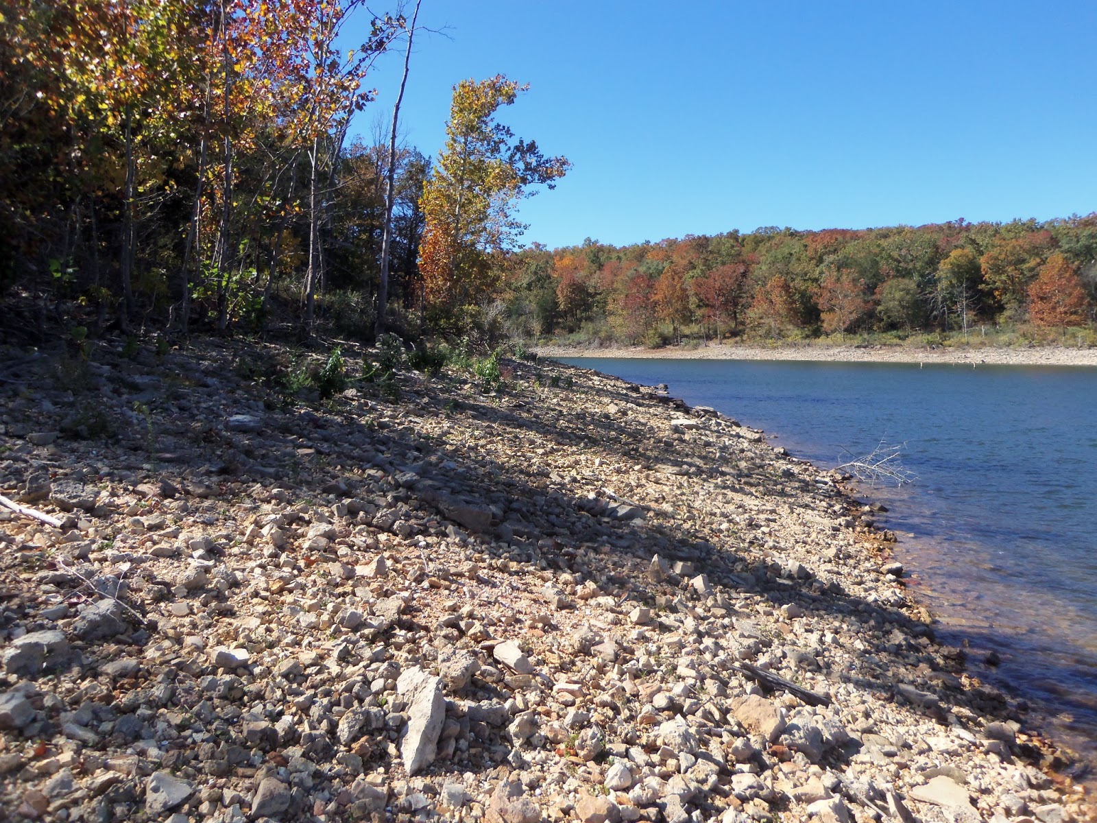 Escape to Serenity: Viney Creek Park, Your Gateway to Table Rock Lake