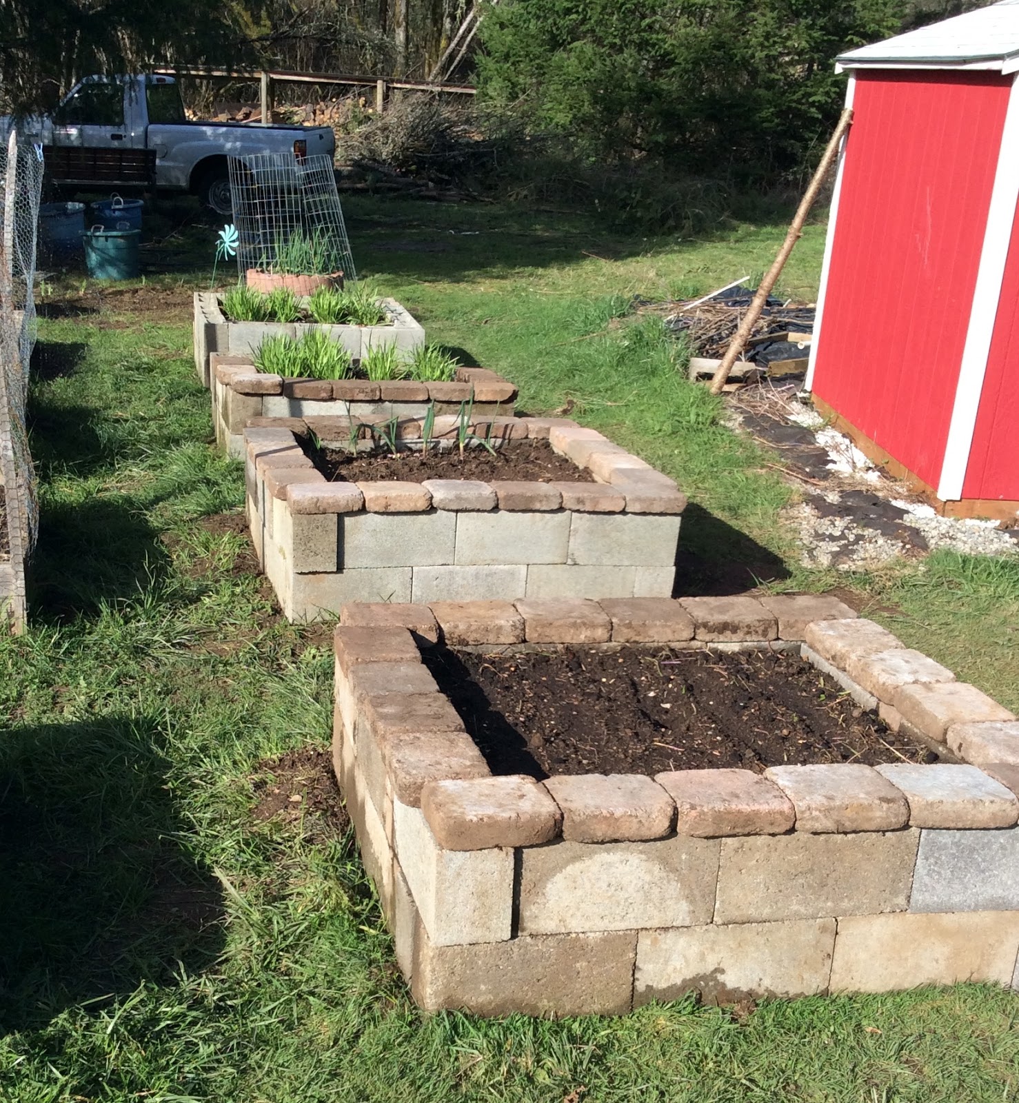 Growing Greener in the Pacific Northwest: Raised Beds - Earlier, Warmer