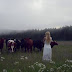 Woman 'Sings' In A Hauntingly Beautiful Voice To Summon Cows