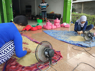 Jual Telur Jangkrik Seluruh Indonesia Jual Telur Jangkrik Seluruh Indonesia