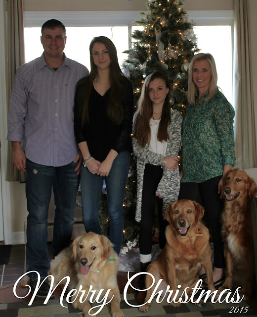 Golden Retriever dog family merry Christmas 2015
