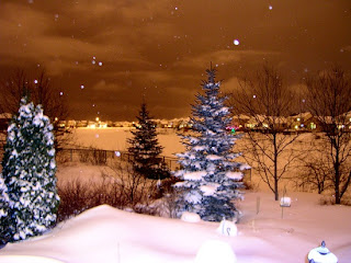Snow during night Photo by Bogdan Fiedur