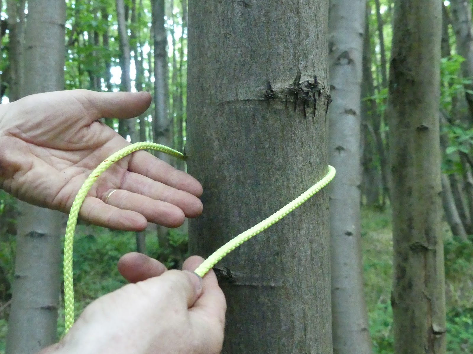 The Outdoor Traditionalist The Three Main Tarp Knots