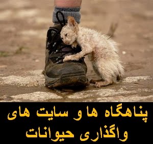فهرست برخی از پناهگاه ها و سایت های واگذاری حیوانات در ایران