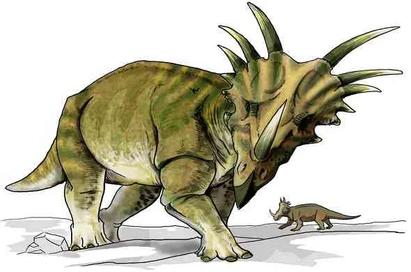 styracosaurus-dinosaur-ستايراكاسوراس-ديناصور