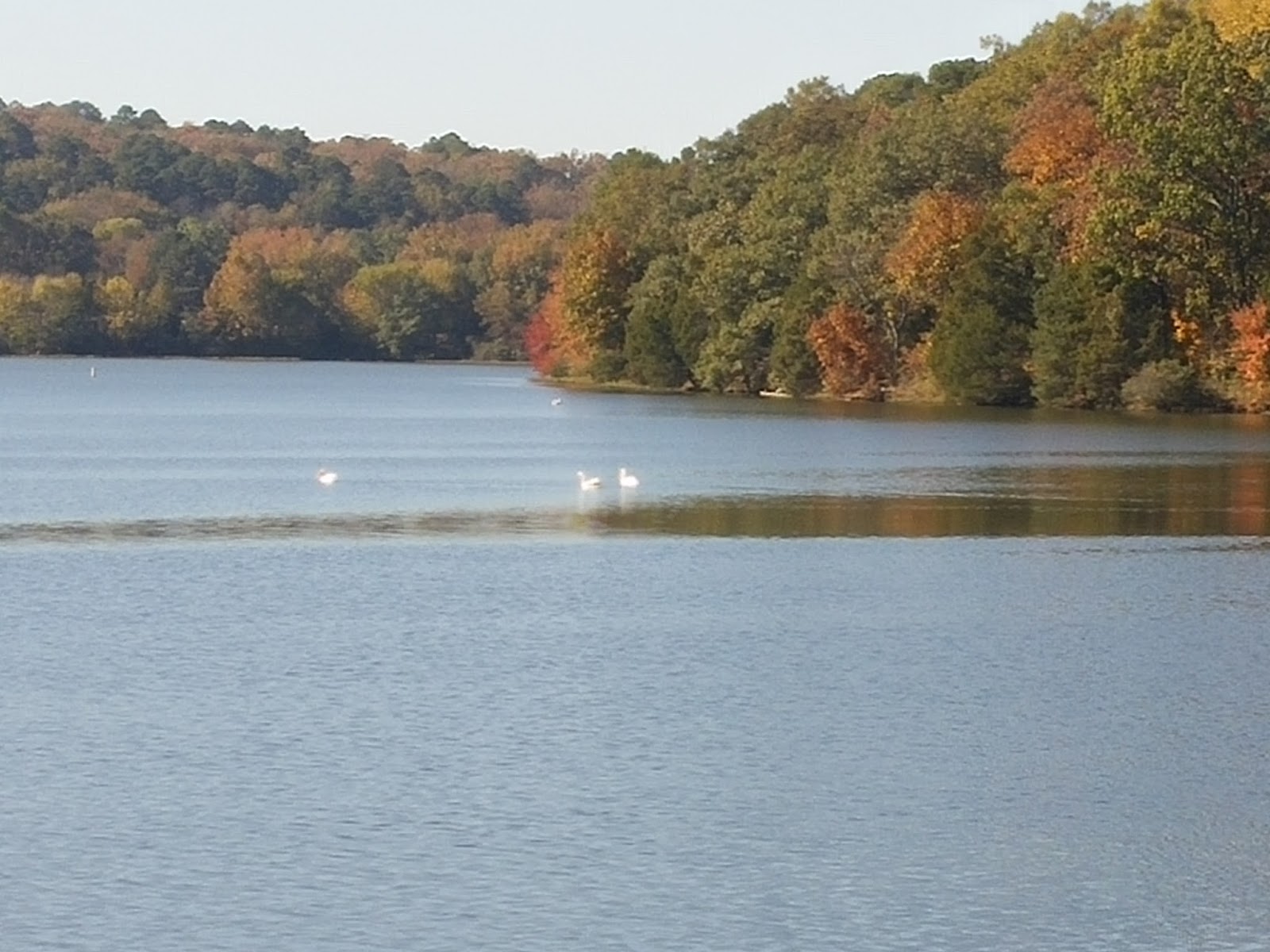 Rick's Hiking Blog Illinois Bayou and Ouita Coal Company trails