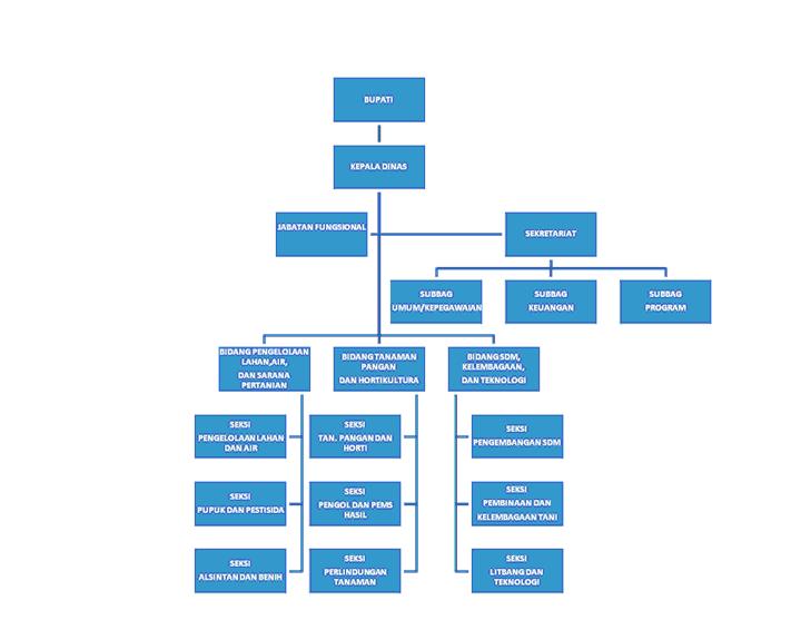 Struktur Organisasi ~ Dinas Pertanian Kabupaten Asahan