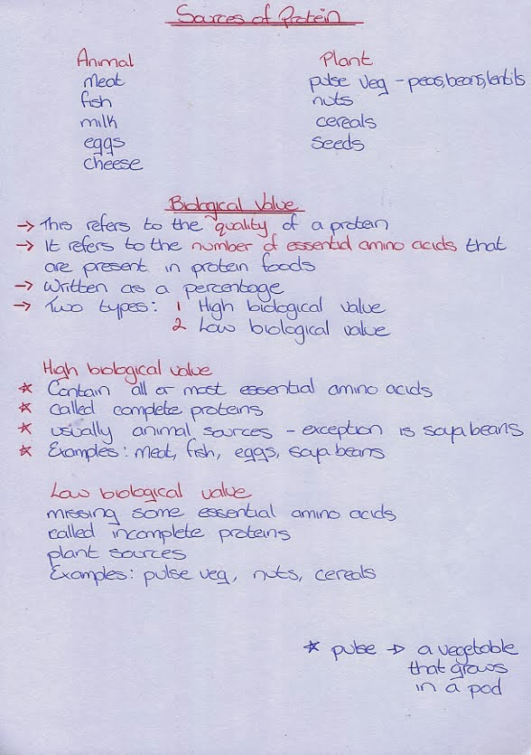 Leaving Cert help notes Home Ec Protein notes