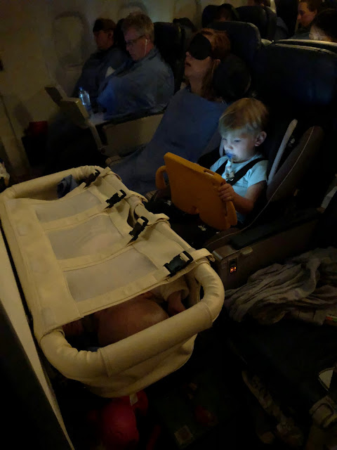 skycot airplane bassinet