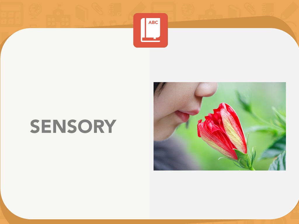 Sensory Interaction