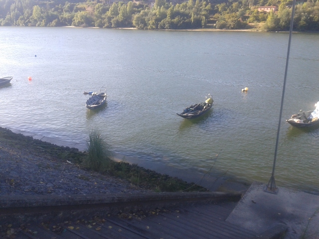 Barcos Rio Douro