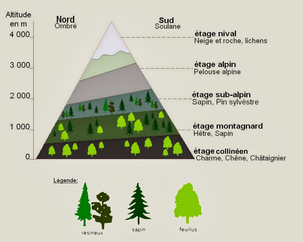 Distribution De Et La Montagne Fleurira St André classe de CM2: geographie