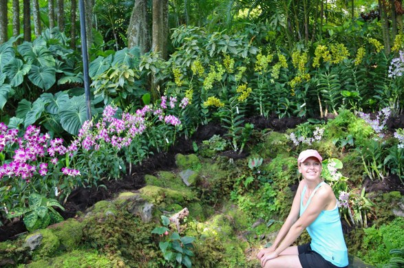 Cara Membuat Desain Taman Anggrek Sederhana Tapi Indah Terbaru 2017