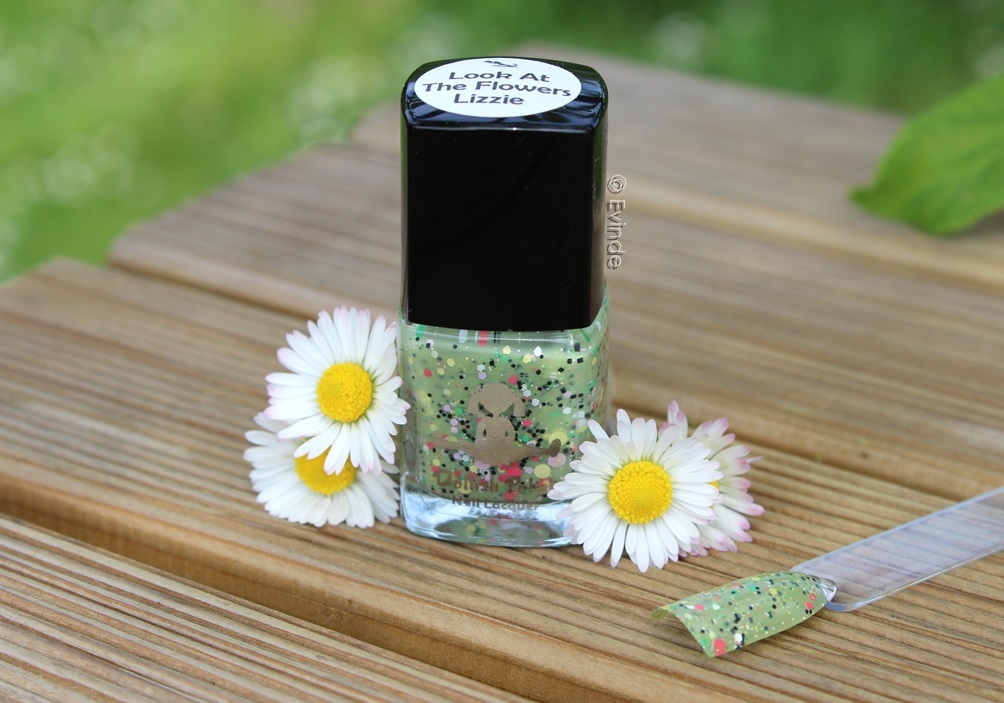 Dollish Polish 