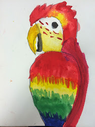watercolor parrots cooper academy dual language studio