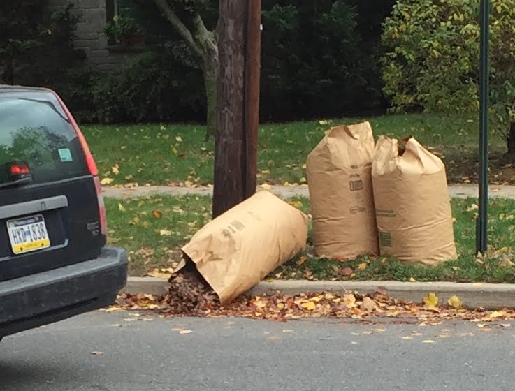 PrincetonPrimer The Cost of Free Leaf Bags in Princeton