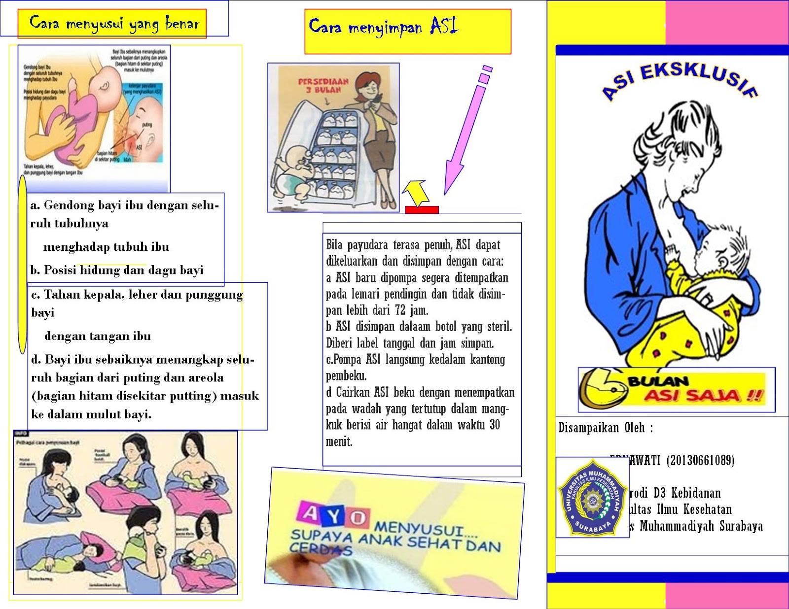 LEAFLET ASI EKSKLUSIF ♔ SCOTT Biru♔