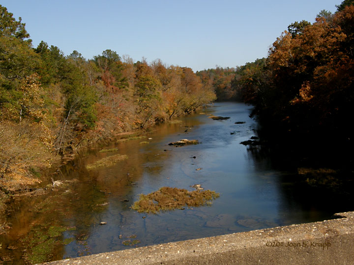 Anybody Seen My Focus? Cahaba River National Wildlife Refuge
