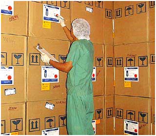 Jorge Luis Arcila Integracion SENA - MQP: ALMACENAMIENTO Y TIPOS Ó