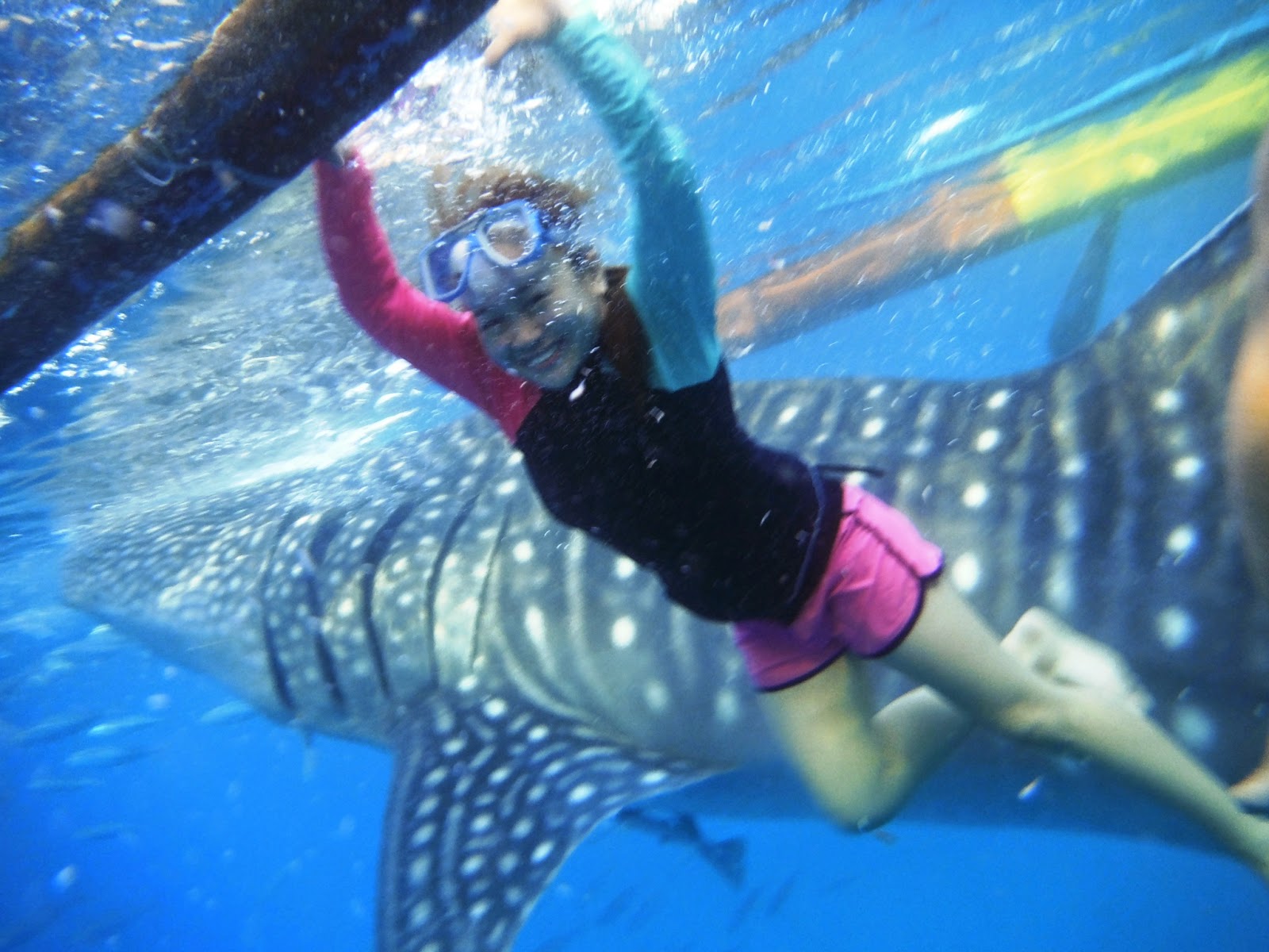 the adventures of "Dora" ;) my first whale shark interaction ! ;) Oslob Cebu
