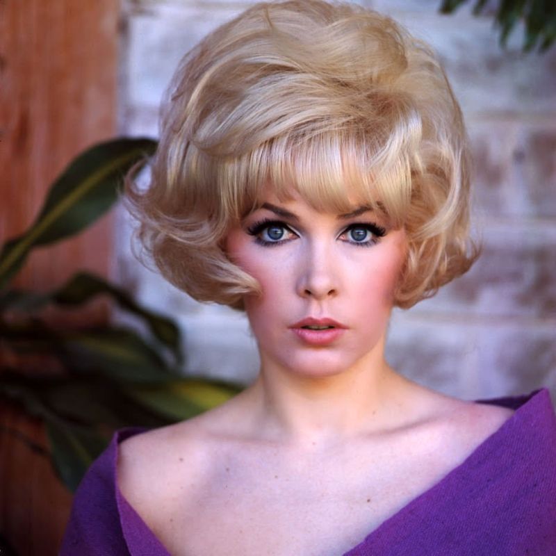 A Hollywood Classic Blonde Bombshell  Glamorous Photos of Stella Stevens during the 1960s - 55