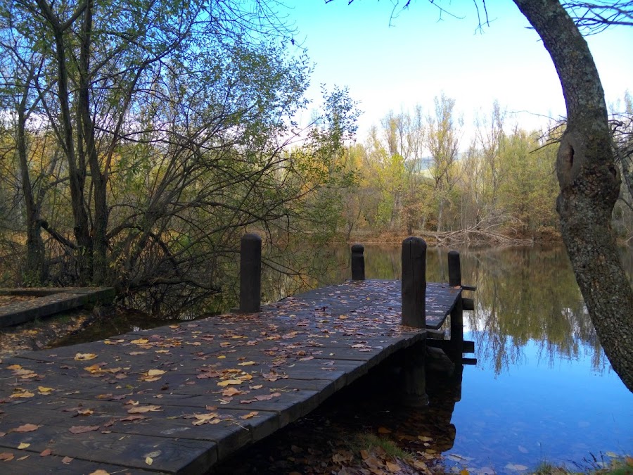 Embarcadero-bosque-finlandes