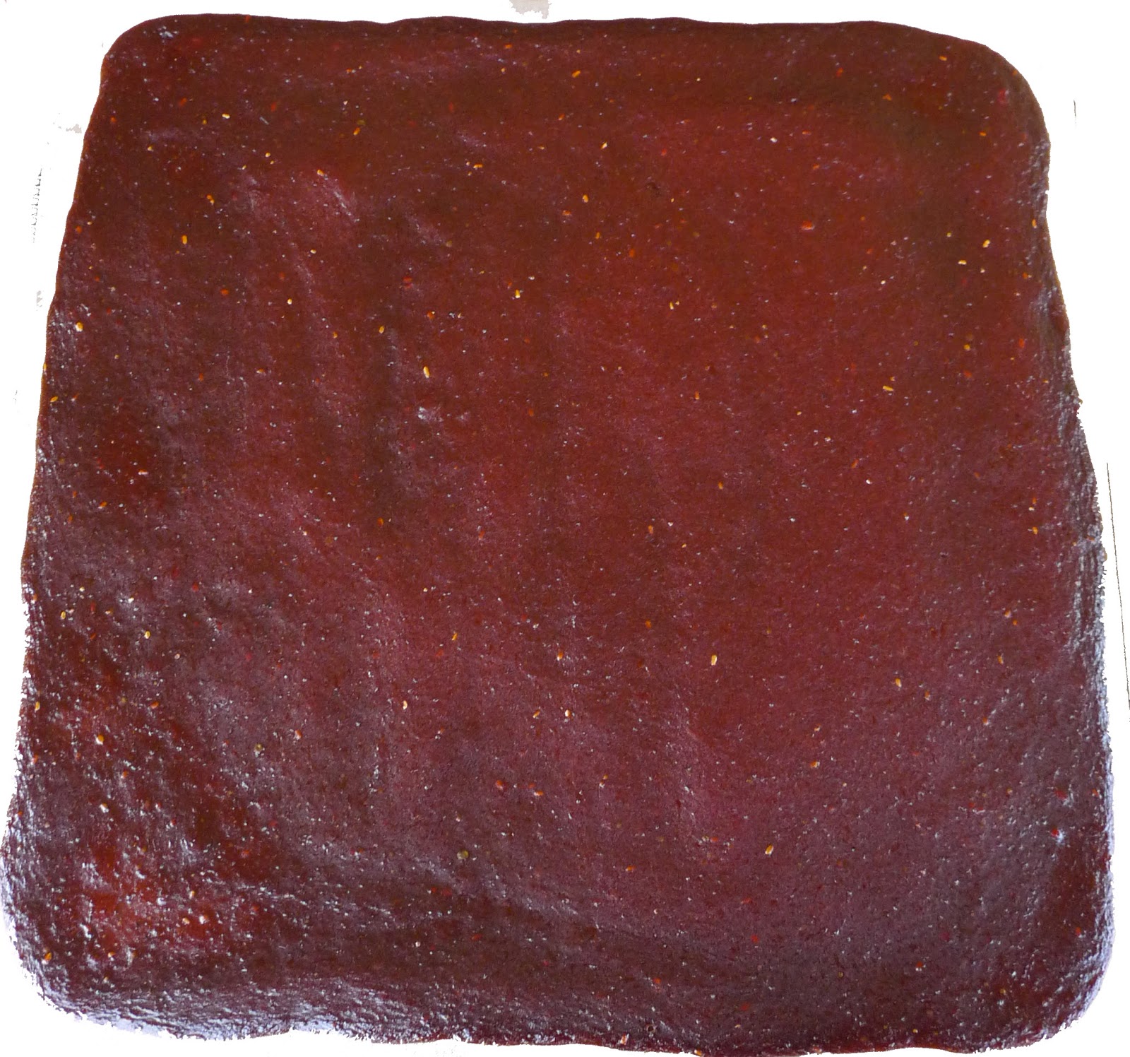 Wild Harvests Red Elderberry Experiment 1