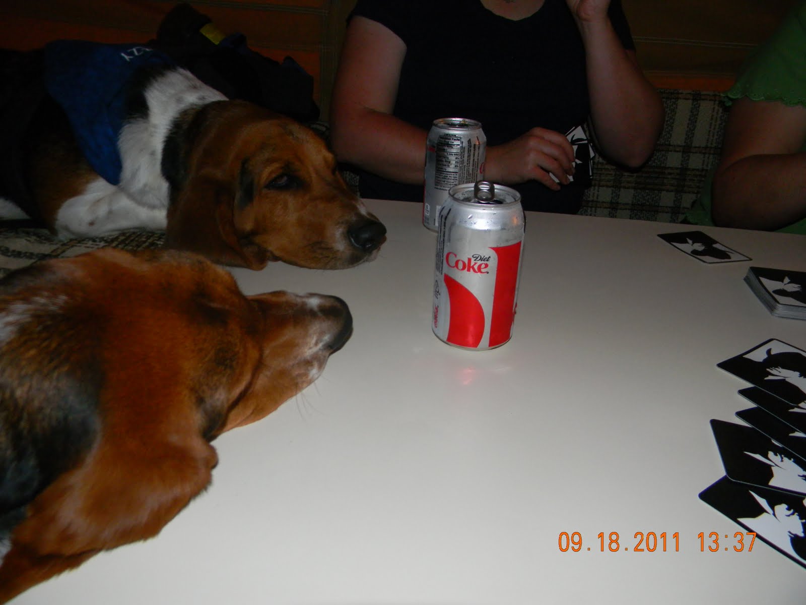 Jowls of Fury Famous Basset Hound Friday 32