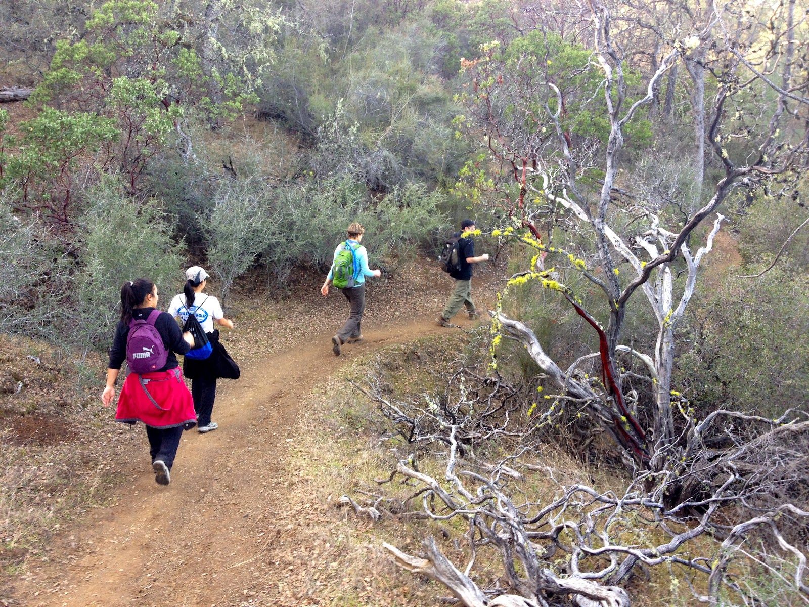 Hiking Around Sacramento Redbud Trail Cache Creek Canyon BLM