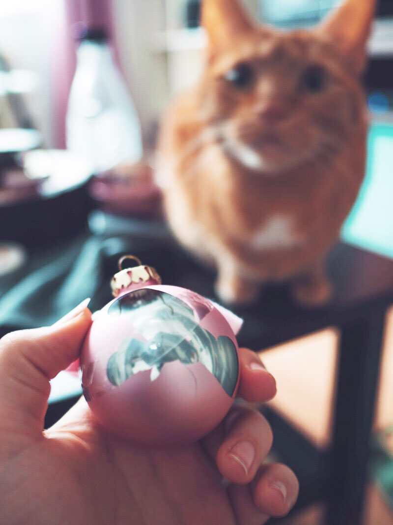 KuneCoco • Aus dem Leben einer Katzenlady #1 Kaputte Christbaumkugel