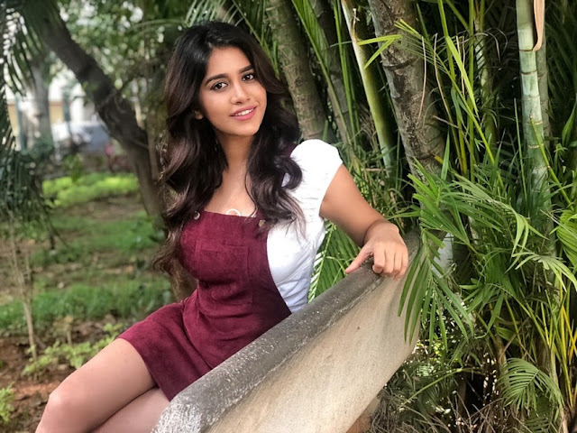 Nabha Natesh hot