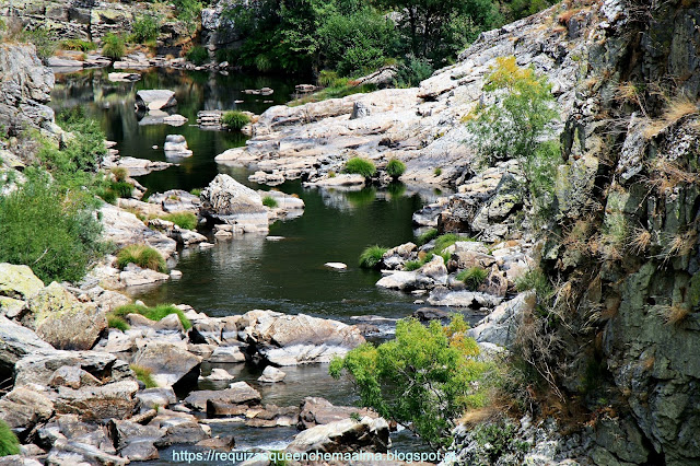 Rio Paiva Rio Paiva