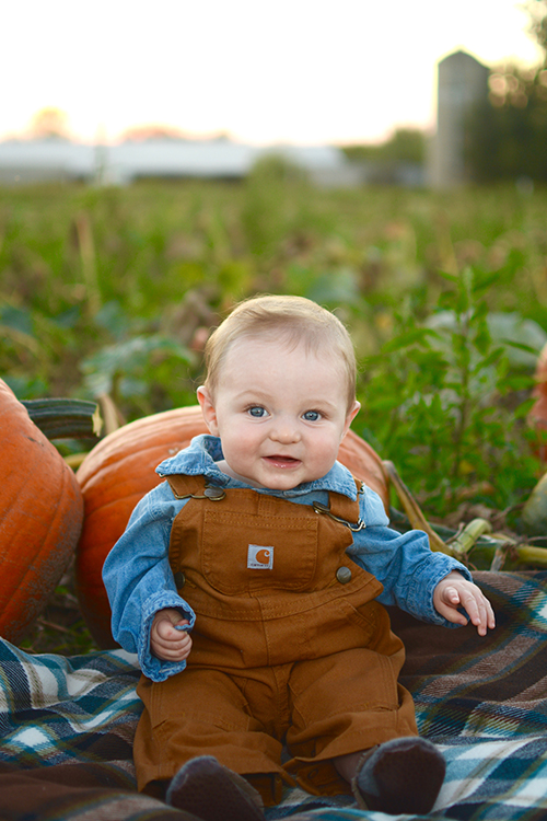 Fall, Pumpkin Patch | My Darling Days Fall, Pumpkin Patch | My Darling Days