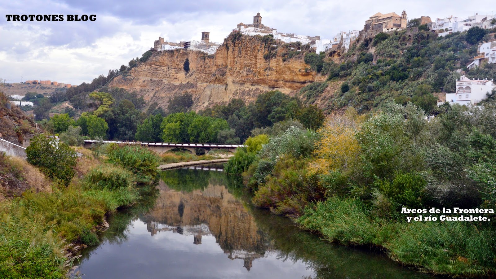 Arcos Arcos