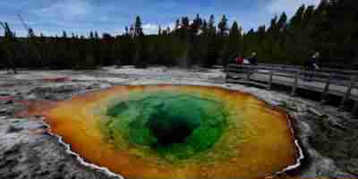 Cientistas descobrem organismos extraterrestres