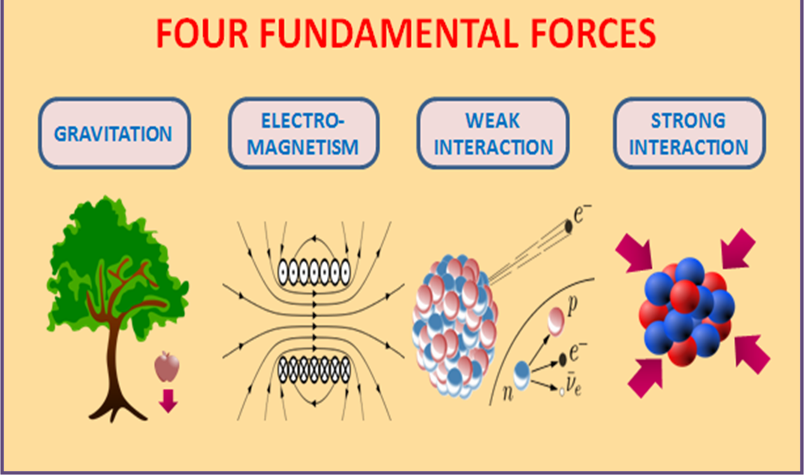 FUNDAMENTAL FORCES OF NATURE (Part-1) Quantum X