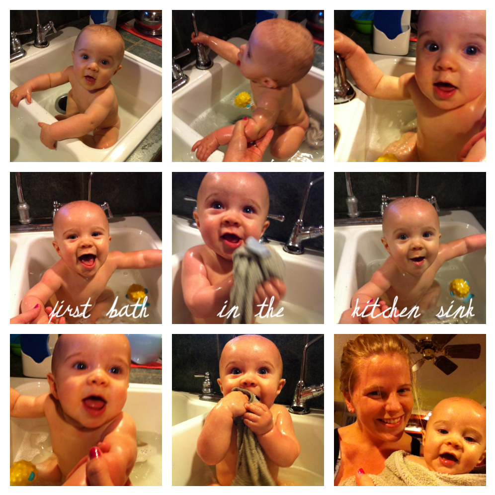 Paisley Sprouts kitchen sink bath