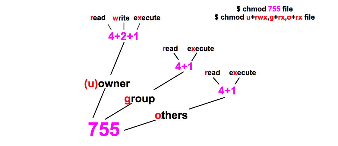 Права доступа к файлам в linux таблица. Chmod 755. Chmod таблица. Chmod. Chmod линукс.