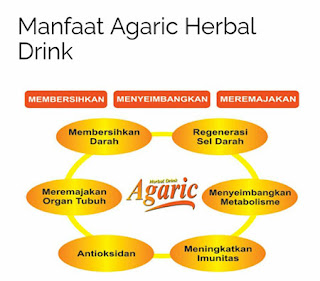 Jual Agaric Herbal Drink NASA Di Malang Raya Manfaat Agaric Herbal Drink NASA