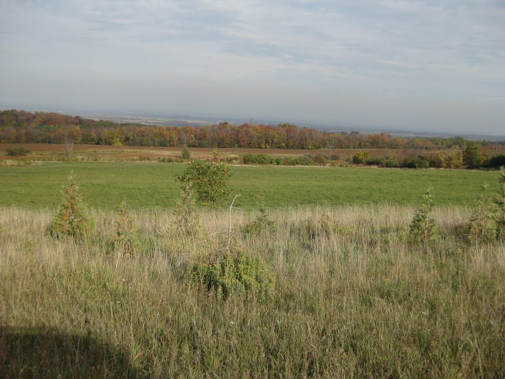 Tanglewood Threads The Rolling Hills of Ontario
