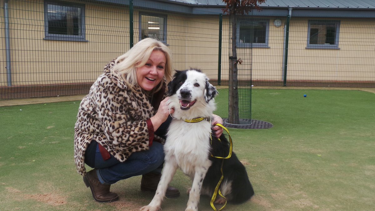 Dogs Trust Centre Near Hemel Hempstead Dogs Trust Centre Near Hemel Hempstead