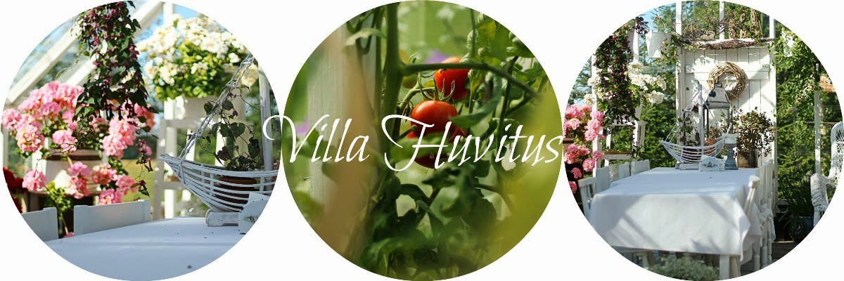 Villa Huvitus