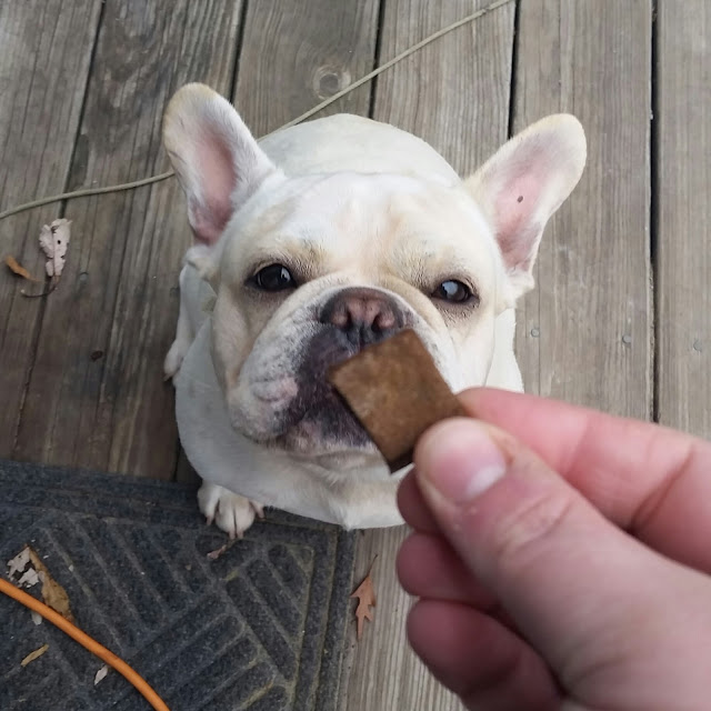 Vodka And A Glue Gun Pumpkin Buckwheat Dog Treats (Grain Free, Gluten