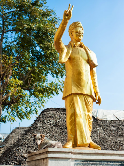 собака забралась на постамент статуи