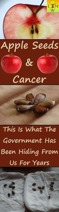 Apple Seeds and Cancer: This is What the Government Has Been Hiding from Us for Years
