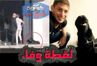 لقطة وفاء من كلب الأرجنتيني سالا فى جنازته بالفيديو والصور