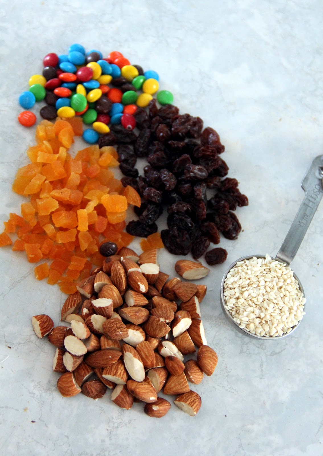 Jo and Sue Nutella Energy Bars (No Bake)