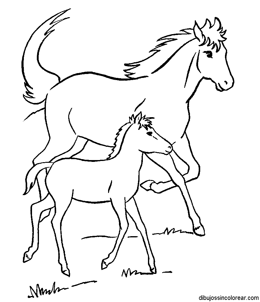 Dibujos Sin Colorear Dibujos De Caballos Para Colorear