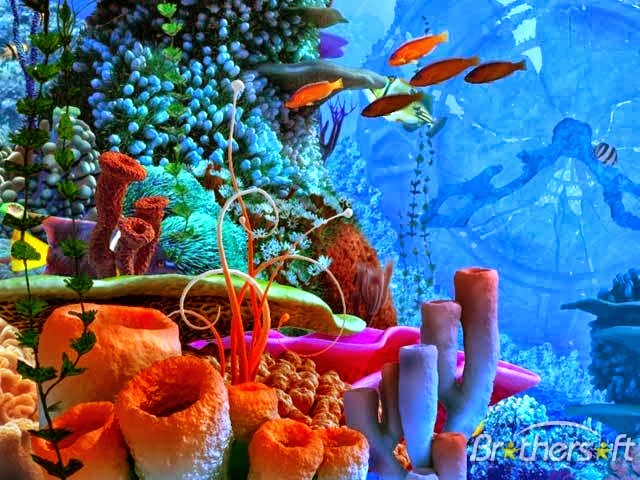 31 Gambar Wallpaper Pemandangan Bawah Laut Pemandangan Top Banget